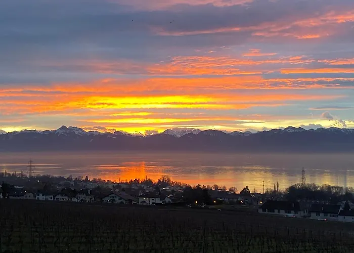 Affittacamere Queen Guest 3*