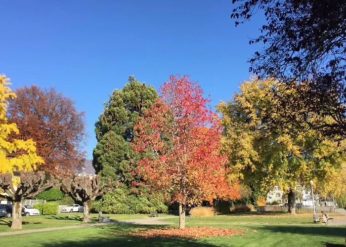 Queen Guest Pensjonat